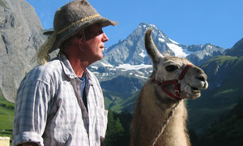 Každému jeho lamu Každému jeho lamu