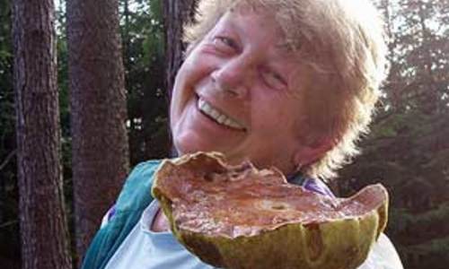 Houby AKTUÁLNĚ 2009 Houby AKTUÁLNĚ 2009