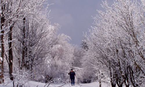 České hory AKTUÁLNĚ 2009/2010