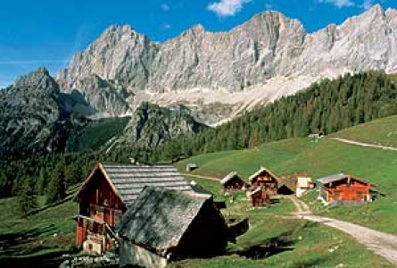 Schmetterling na Dachstein