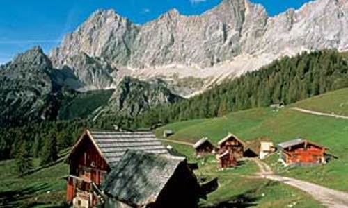 Schmetterling na Dachstein