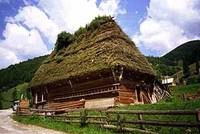 Je v Rumunsku Palestina? Je v Rumunsku Palestina?