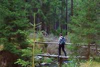 Voltek krade informace Voltek krade informace