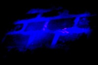 Noční Vyšehrad s UV baterkou Noční Vyšehrad s UV baterkou