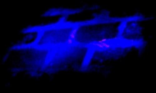 Noční Vyšehrad s UV baterkou Noční Vyšehrad s UV baterkou