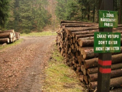 Kam nešlápne noha turistova, tam se brutálně těží les