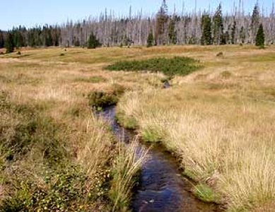 Šumava AKTUÁLNĚ 2011