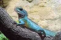 Noc v ostravské ZOO Noc v ostravské ZOO