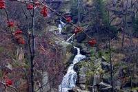 Podzimní Jizerky v zimě Podzimní Jizerky v zimě