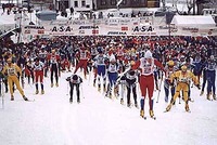 Jizerská padesátka 2004 Jizerská padesátka 2004