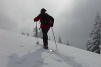 Organizátoři Světového poháru v Liberci dělají běžkám medvědí službu Organizátoři Světového poháru v Liberci dělají běžkám medvědí službu