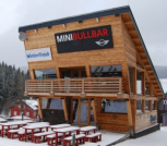 Mini Bullbar