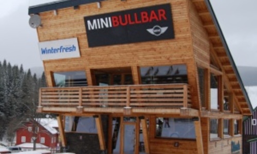 Mini Bullbar Mini Bullbar