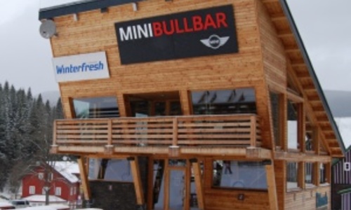 Mini Bullbar