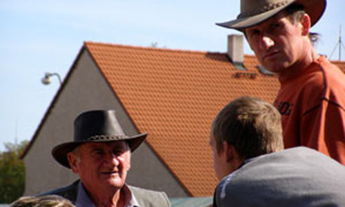 Město koní Město koní