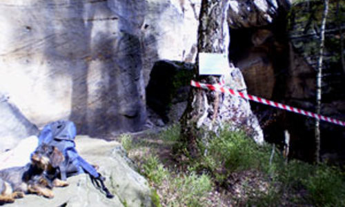 Kam nelézt 2008 Kam nelézt 2008