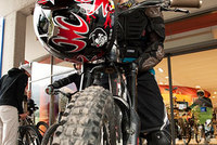 Na kole pod hřívou lva Na kole pod hřívou lva