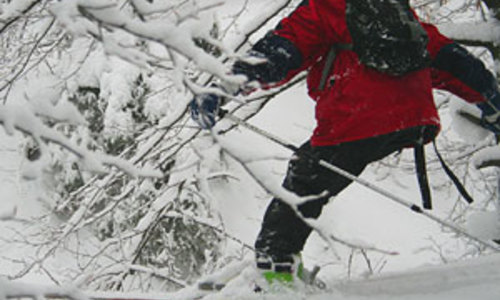 VIDEO Luž: lužický freeride VIDEO Luž: lužický freeride