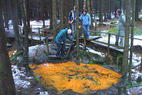 Divná zima na Luži Divná zima na Luži