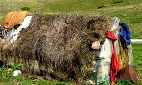 Karadžica patří ovcím Karadžica patří ovcím