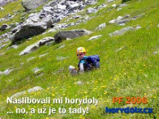 Šťastný nový rok