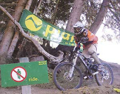 Downhill v Planai