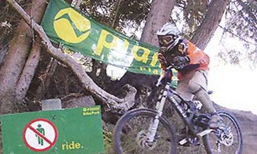 Downhill v Planai