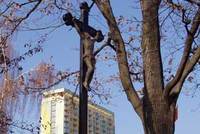 Utopil se v Krhanicích Utopil se v Krhanicích