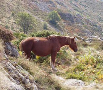 Mohutné Pyreneje skoro bez turistů