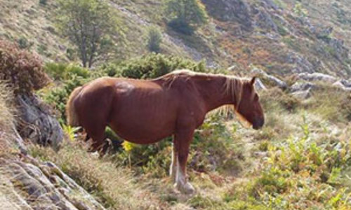 Mohutné Pyreneje skoro bez turistů Mohutné Pyreneje skoro bez turistů
