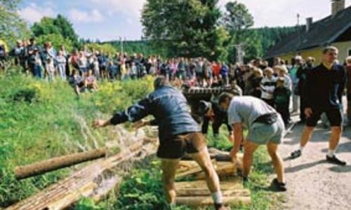 Levné vlaky na Šumavě Levné vlaky na Šumavě