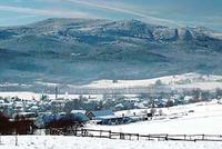 Ptáci dostali přednost před lyžováním Ptáci dostali přednost před lyžováním