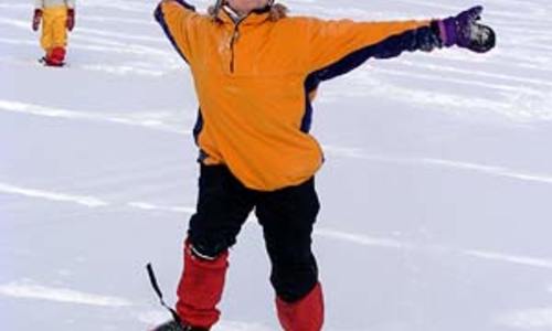 Sněžnice na českém trhu Sněžnice na českém trhu