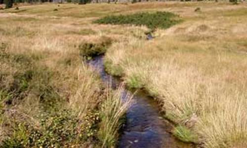 Němci chtějí turistické přechody na Šumavě, Češi je blokují Němci chtějí turistické přechody na Šumavě, Češi je blokují