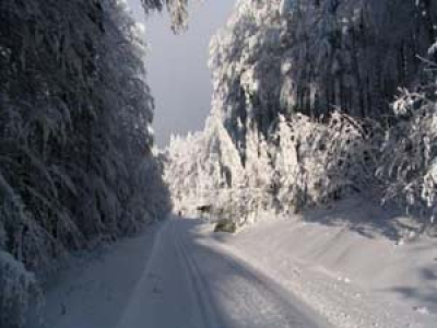 Jihočeši podporují národní park Šumava