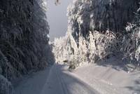 Jihočeši podporují národní park Šumava Jihočeši podporují národní park Šumava