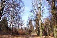 Mezinárodní tábor Mezinárodní tábor