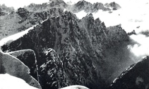 RETRO Zadní Javorové sedlo RETRO Zadní Javorové sedlo