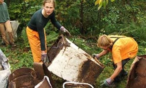 Břehule říční Břehule říční