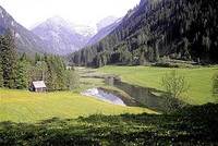 Kolo místo běžek Kolo místo běžek