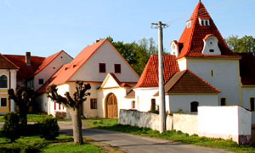 Domluvit se bez jediného slova Domluvit se bez jediného slova