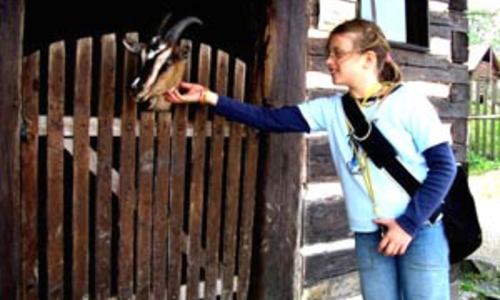 Českomoravská vysočina Českomoravská vysočina