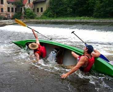 Vltavský drsňák