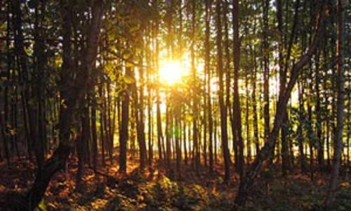 Voděradské bučiny pro dívky i klučiny! Voděradské bučiny pro dívky i klučiny!