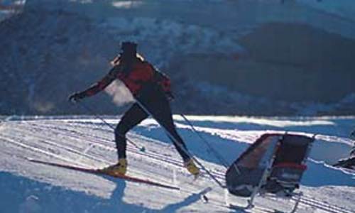Skiset na vozík Skiset na vozík