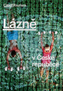 Kyselka znovu do aukce