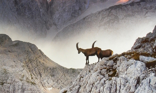 I Feel Slovenia - jednotná propagace cestovního ruchu  I Feel Slovenia - jednotná propagace cestovního ruchu