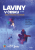 Laviny v Česku, svědectví přeživších a záchranářů