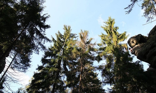 Na fesťáku vyhráli Amíci Na fesťáku vyhráli Amíci