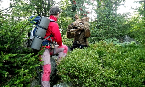 Český les AKTUÁLNĚ 2020 Český les AKTUÁLNĚ 2020